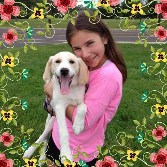 showdogs1229
